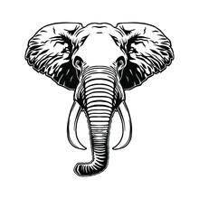 Elephant Head Vector File. Elephant Clipart For Cutting Venil Stickers And Printing