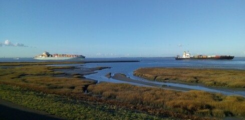 two container ships are navigating along a salt marsh in the westerschelde sea through river scheldt towards antwerp at a cold winter morning with a blue sky