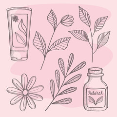 Wall Mural - productos of organic cosmetic