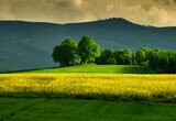 Fototapeta Tęcza - Spring on fields