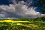 Fototapeta Tęcza - Spring rainbow
