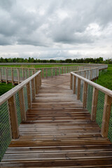  Wooden walk track in green park