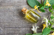 Glass bottle of honeysuckle flower essential oil with fresh flowers, lonicera caprifolium