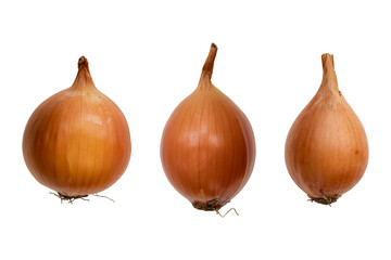 gold fresh onions isolated on white background