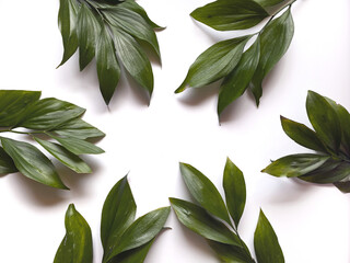 Leaves composition. Frame made of green leaves on white background. Wedding day, mothers day and womens day concept. Flat lay, top view.