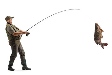 Sticker - Full length profile shot of a mature fisherman catching a big carp fish with a fishing pole