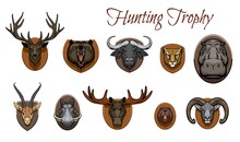 Hunting Trophies Animals Heads. Vector Deer, Roaring Grizzly Bear Muzzle And African Buffalo, Cheetah, Hippo And Gazelle, Warthog, Elk And Beaver, Bighorn Sheep Ram Hanging On Wooden Plate