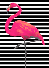A Pink Florida Flamingo Is Seen On A Black And White Striped Background In This 3-d Illustration.