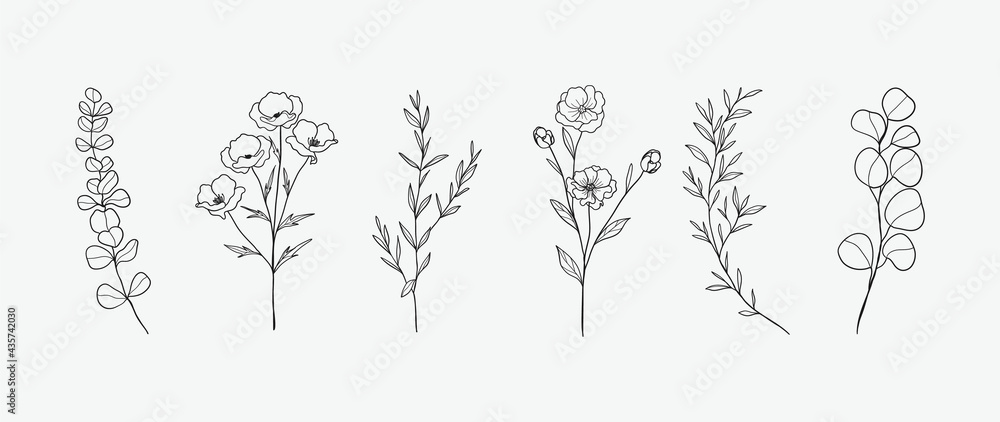 Minimal botanical hand drawing design for logo and wedding invitation. Floral line art.  Flower and leaves design collection for bouquets decoration, card and packaging background. - obrazy, fototapety, plakaty 