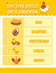 Poster - Diagram showing life cycle of Chicken