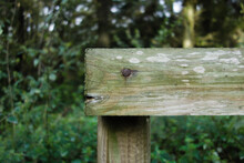 End Of Wooden Fence Post With Rusty Nail