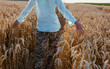© Galyna Andrushko - Girl on wheat field