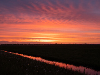 Wall Mural - Golden sunset sky in Dutch landscape