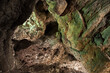 Closeup shot of the wall texture of Cueva De Los Verdes Punta cave in Spain
