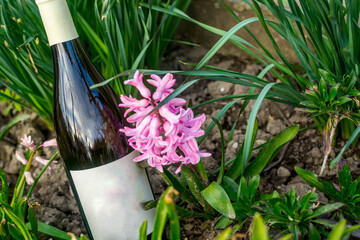 Wall Mural - Wine in flowers