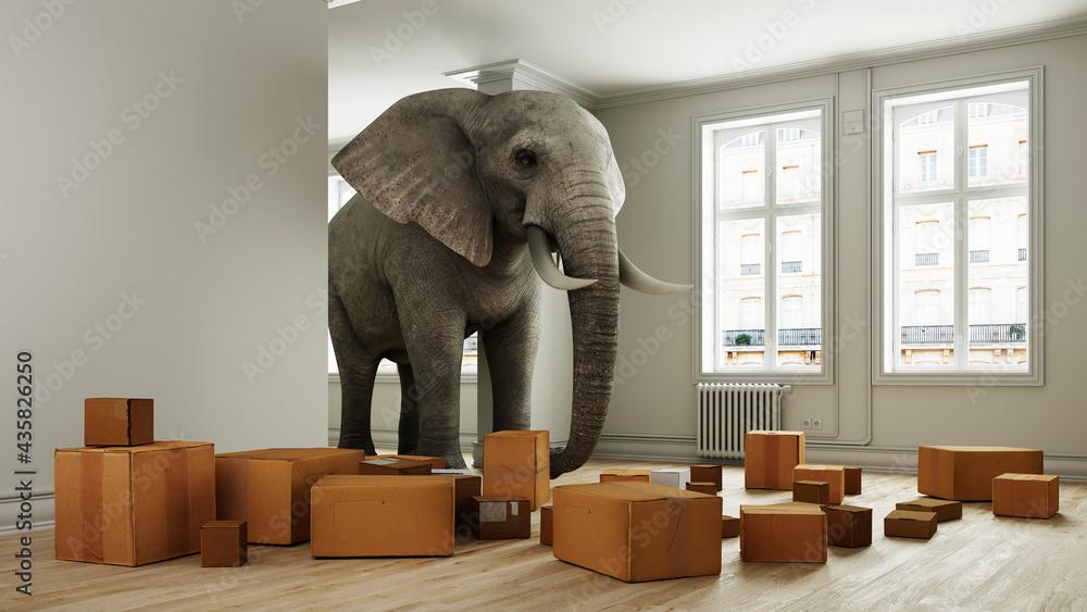 Starker Elefant mit Umzugskartons beim Umzug im Raum - obrazy, fototapety, plakaty 