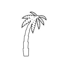 Tropical palm trees, black silhouettes and outline contours on white background