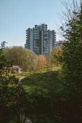 Poster - Park filled with beautiful trees and grass in front of a building