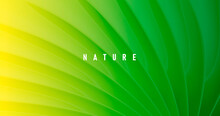 Abstract Green Nature Background With Texture Of Palm Leaf Close Up