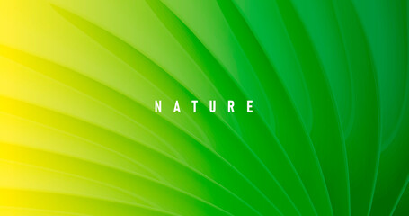 Wall Mural - abstract green nature background with texture of palm leaf close up