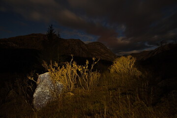 Wall Mural - Russia. South of Western Siberia, Mountain Altai. Autumn night in the stone steppe of the Chuya River valley near the village of Yodro.