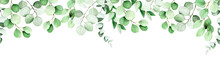 Seamless Border, Frame Of Eucalyptus Leaves And Branches. Watercolor Drawing Green Leaves Of Eucalyptus On White Background. Print For Wedding, Invitations, Congratulations. Web Banner