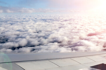Wall Mural - wing airplane by airplane window frame, concept travel and freedom.