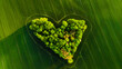 Aerial view of a heart-shaped green landscape