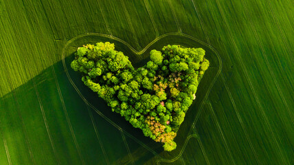 Poster - Aerial view of a heart-shaped green landscape