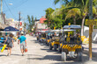 © Alvaro Martin - Calle o Street en la isla de Holbox, estado de Quintana Roo, peninsula de Yucatan, pais de Mexico o Mejico