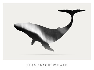 Sticker - Whale silhouette. Abstract animal shape. Night starry sky