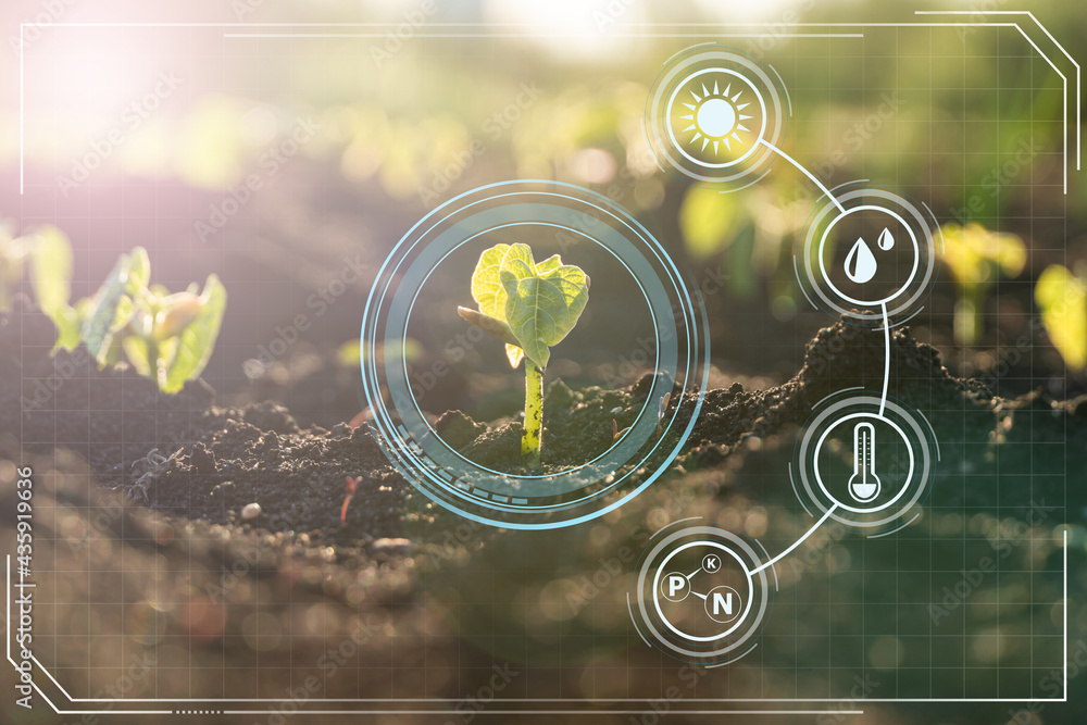 Agriculture with iot technology in smart farm with precision sensor for ...
