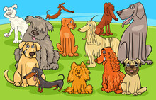 Cartoon Purebred Dogs And Puppies Characters Group