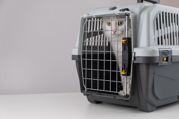 White fluffy cat in a cage for safe transportation of the animal. Travel concept with pets