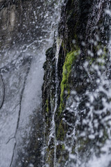 Sticker - Vertical shot of a flowing narrow river in a forest