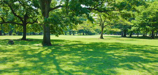 green garden