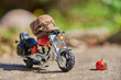 A large grape snail on a bright toy motorcycle on a blurred natural background.