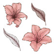 Pale pink summer garden flowers, camelia azalia florals, wedding design elements