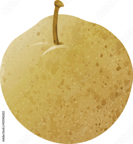 90 253 Nature Japan Vector Wall Murals Canvas Prints Stickers Wallsheaven