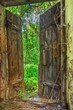 Stare drzwi do zabudowań, obrośnięte roślinami