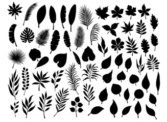 collection set of different silhouettes of tropical, forest, park tree leaves branches twigs plants foliage herbs in black color