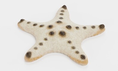 Wall Mural - Realistic 3D Render of Chocolate Chip Starfish