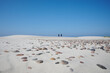 Turyści spacerują nad morzem, zdjęcie z oddali. Na pierwszym planie morski piasek w tle spacerowicze.