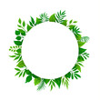 summer spring green leaves branches twigs plants foliage greenery round circle frame with place for text isolated vector illustration