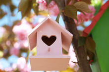 Pink Bird House With Heart Shaped Hole Hanging On Tree Branch Outdoors, Low Angle View