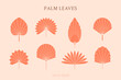 Set of Abstract Palm Leaves Silhouette in Simple Style. Vector Tropical Leaf Boho Emblem. Floral Illustration