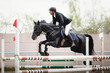 closeup portrait of black mare horse and adult man rider jumping during equestrian showjumping competition in daytime in spring