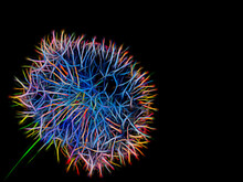 Beautiful Illustration Of A Colorful Neon Dandelion Puff Isolated On Black Background