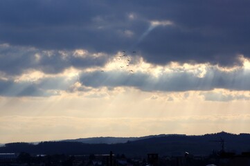 Wall Mural - ciel de pluie