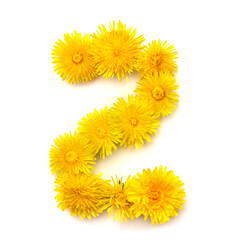 Poster - Number 2 of yellow dandelions flowers